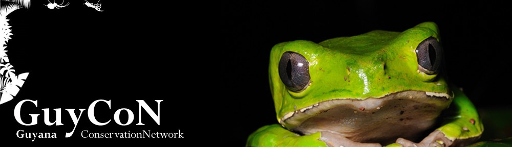 Guyana Conservation Network | GuyCoN