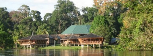 RTC-Iwokrama-across-river-980x360